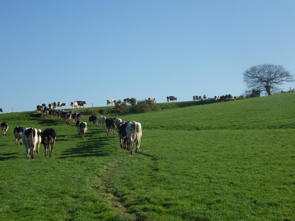 Ferme Clatot Hotel Les Trois Pierres Luaran gambar